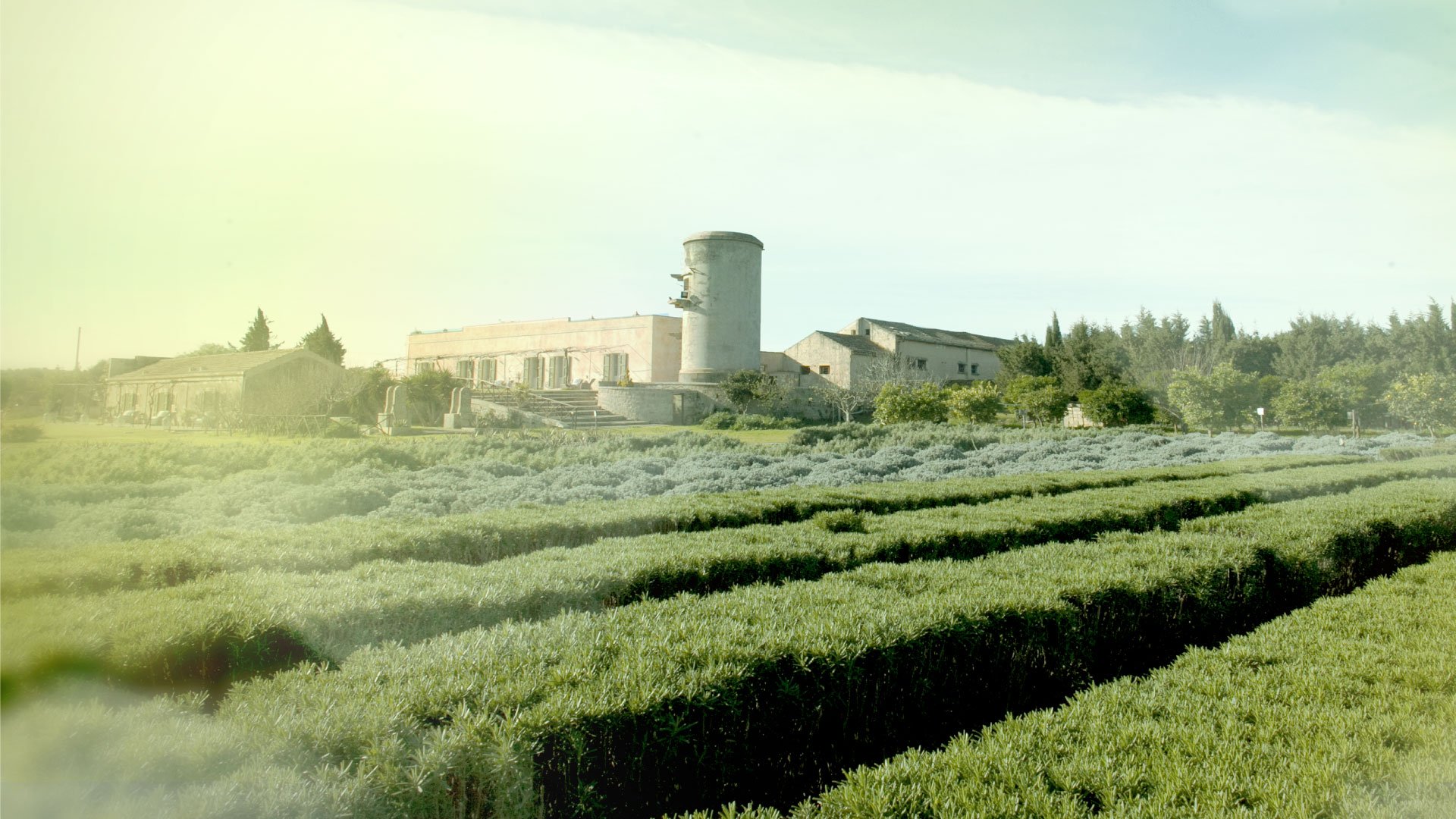 Foto 5 Naturalis Bio Resort & Spa Martano, 04