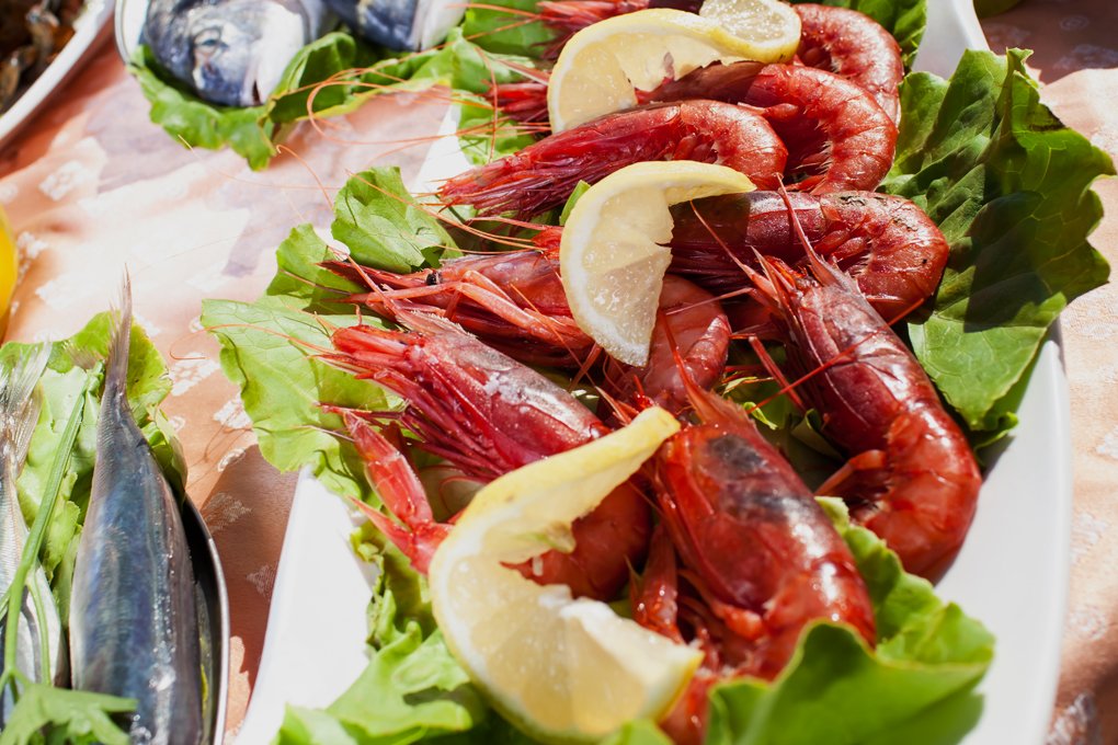 Foto 5 Park Hotel Cilento Camerota, 04