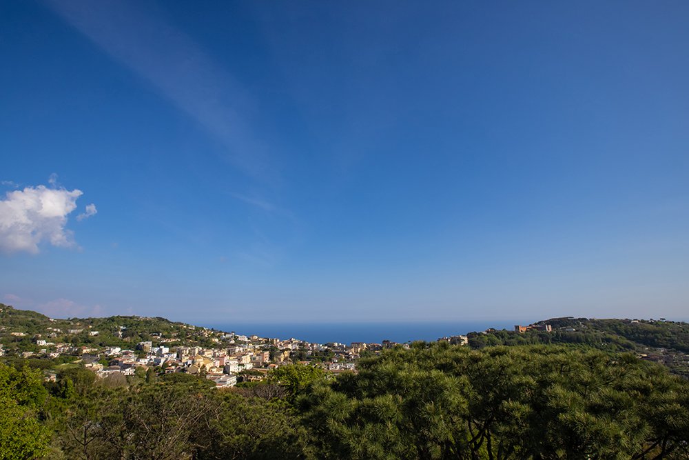 Foto 13 Oasi Olimpia Relais Sorrento, 12