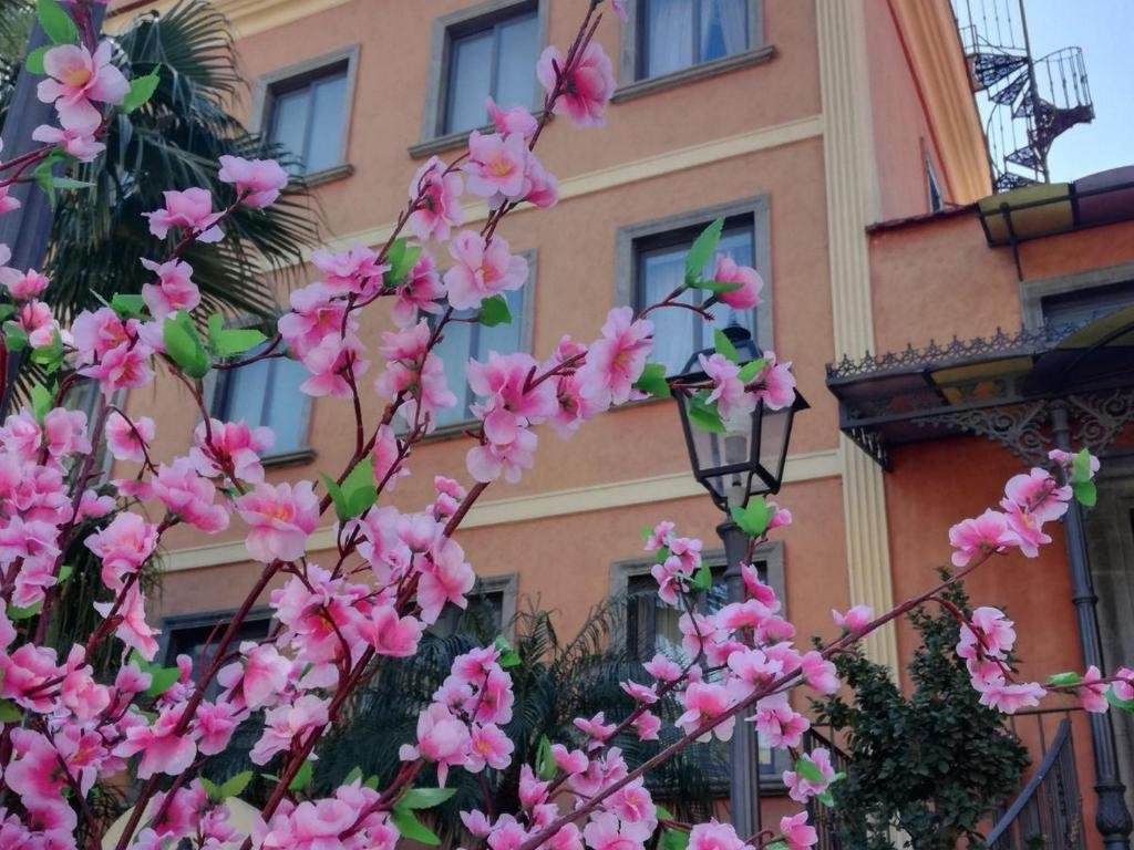 Capodimonte di Napoli, 12