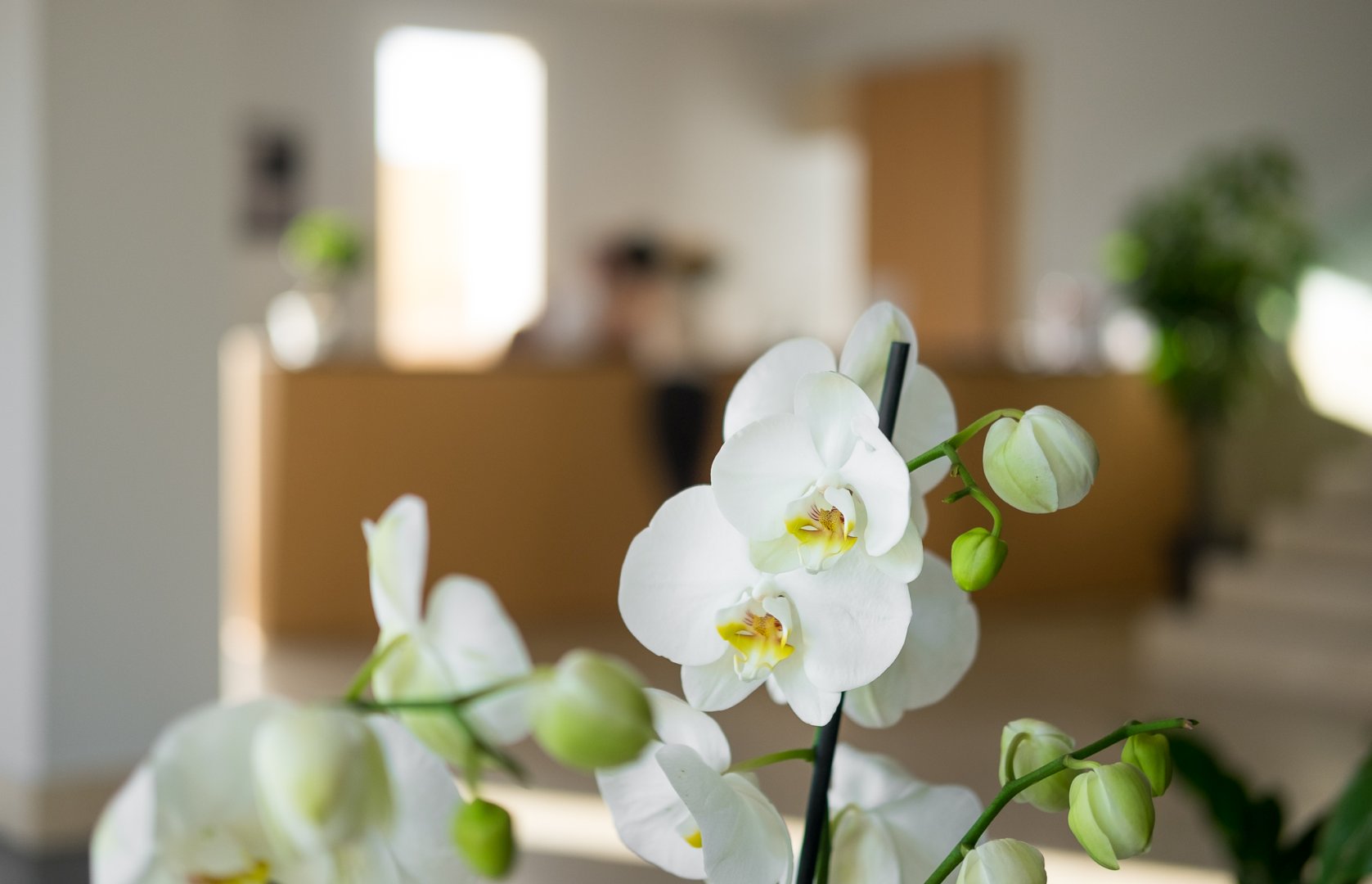 Foto 11 Netum Hotel Noto, 10