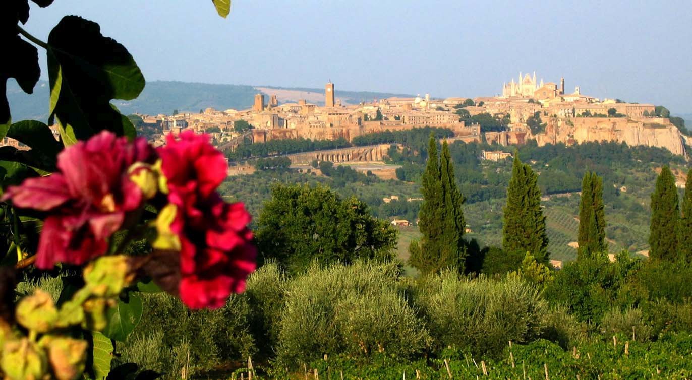 Foto 2 Hotel Orvieto Orvieto, 01