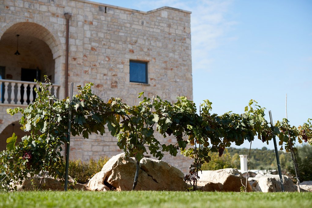 Foto 5 Masseria Grieco Ostuni, 04