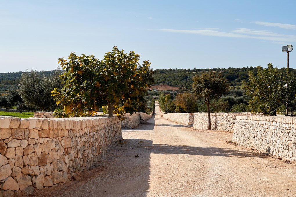 Foto 10 Masseria Grieco Ostuni, 09