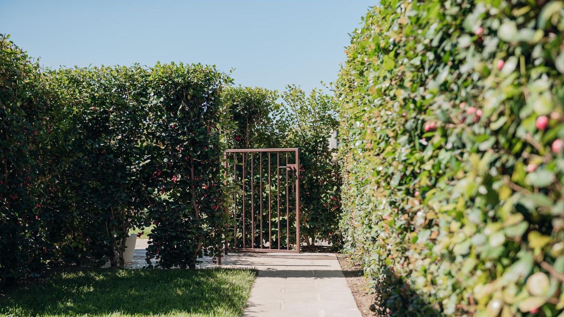 Foto 3 Masseria Longa Boutique Hotel Otranto, 02