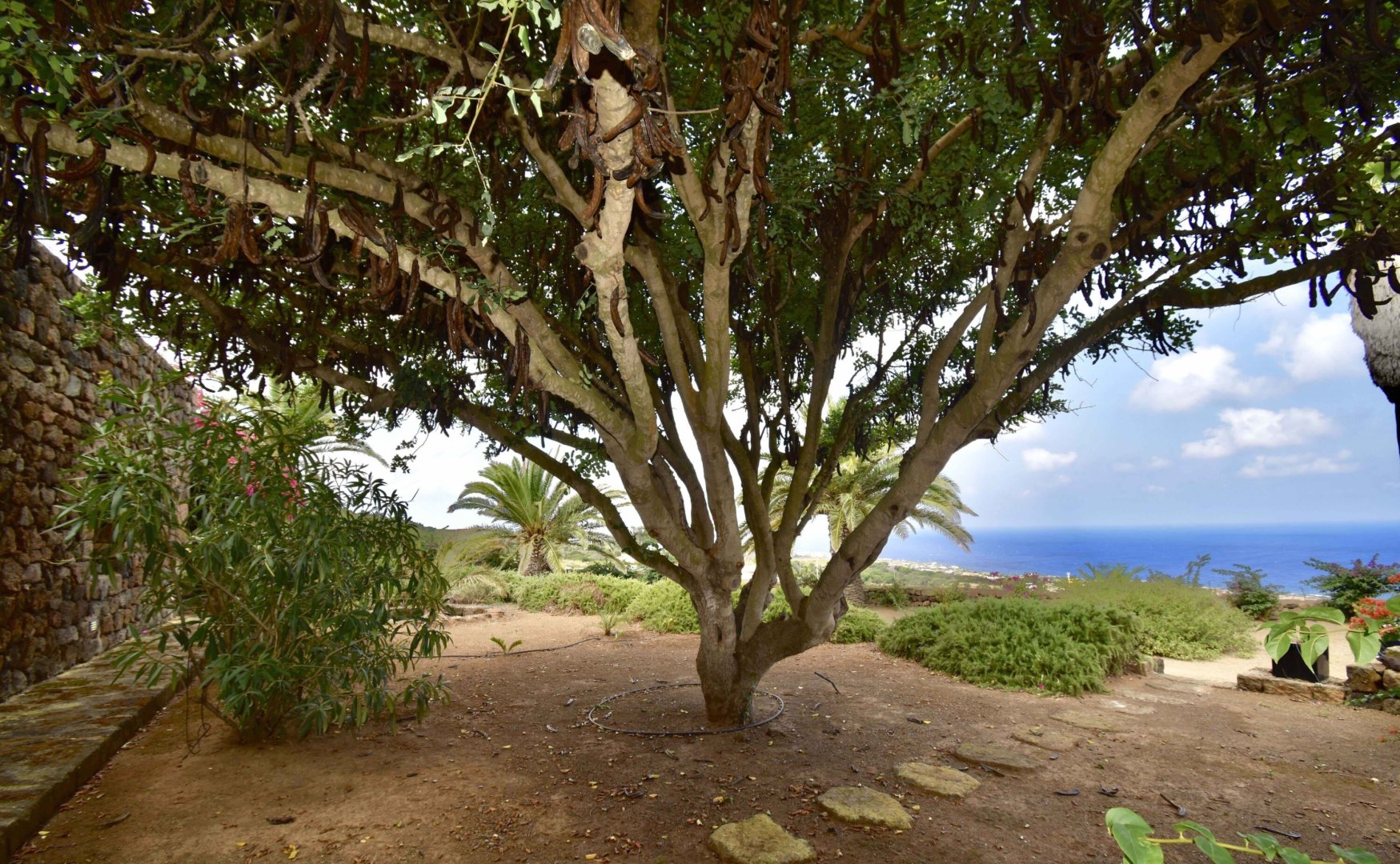 Isola di Pantelleria, 18