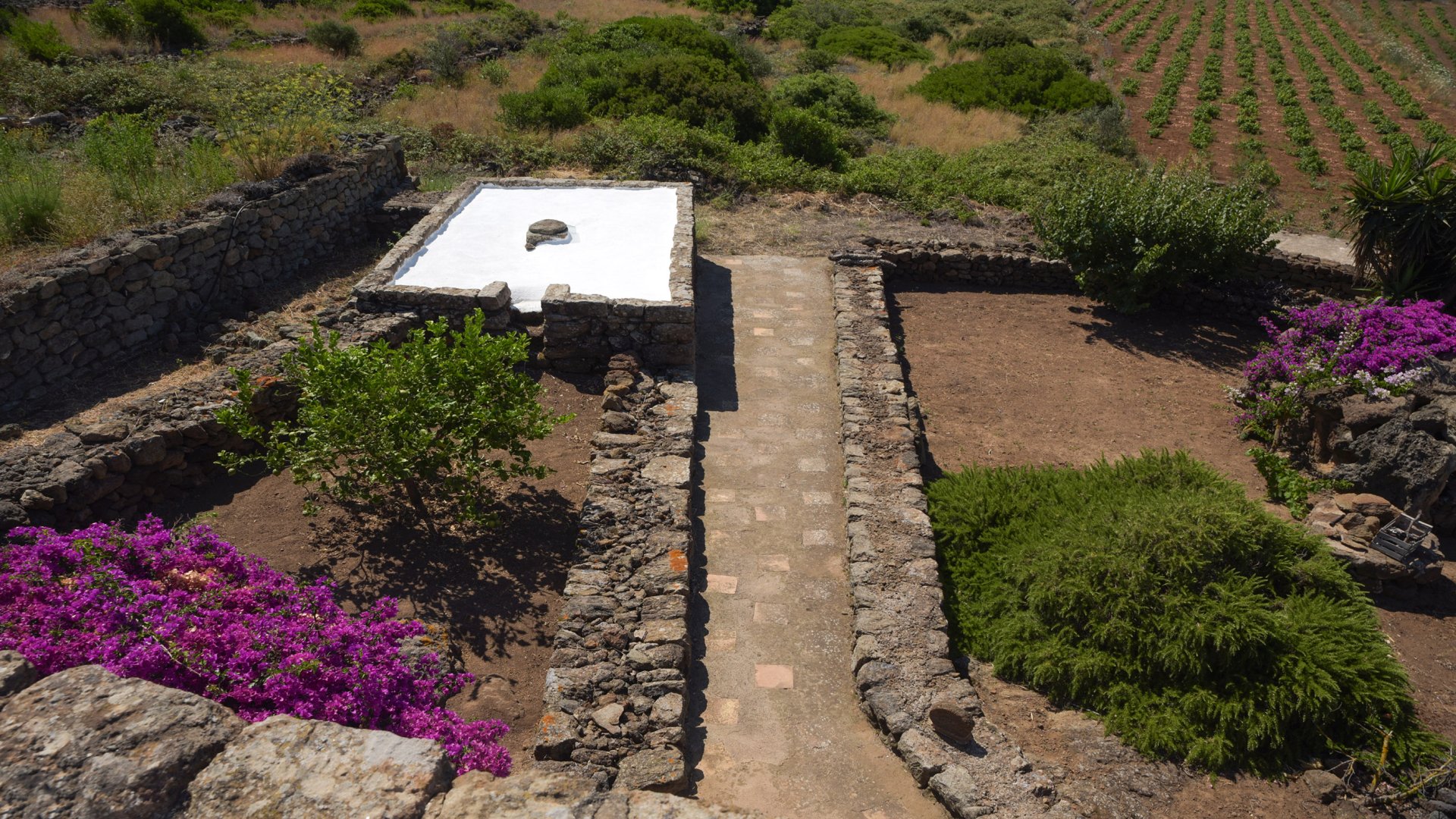 Foto 13 Dammusi Barone Isola di Pantelleria, 12