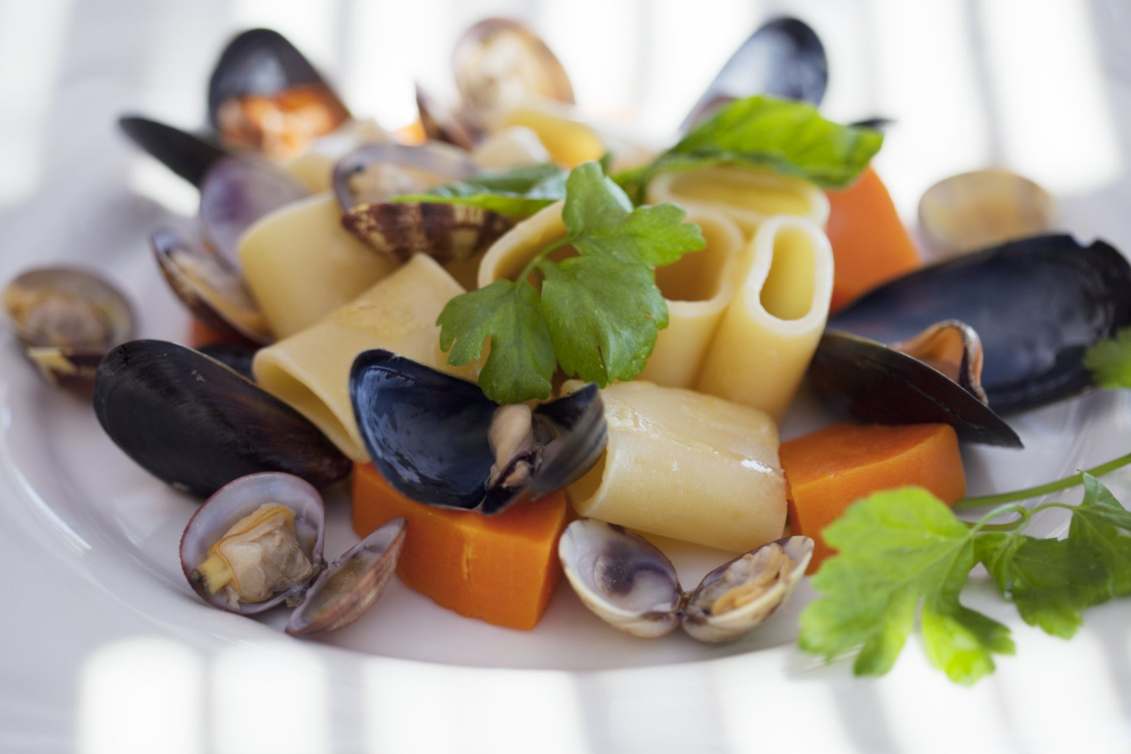 Foto 9 Hotel Cincotta Isola di Panarea, 08