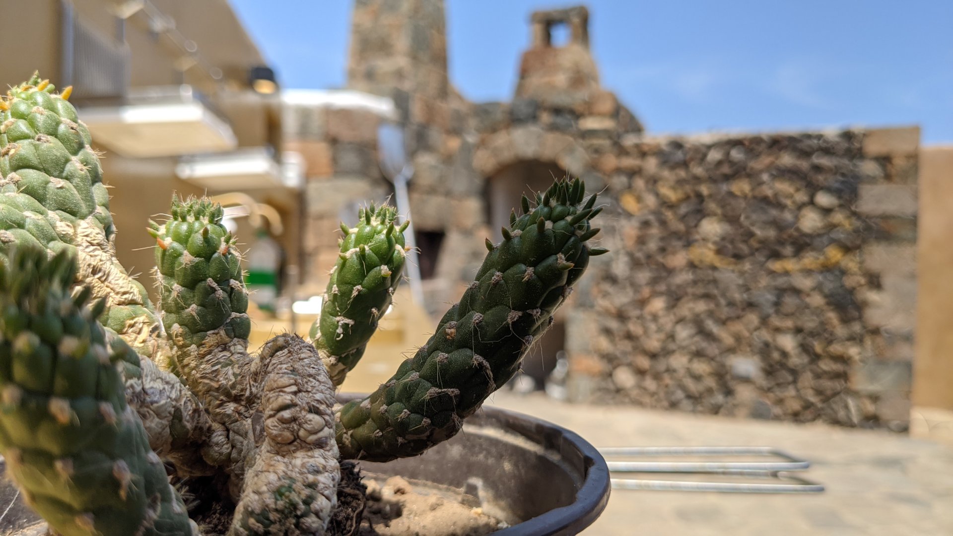 Isola di Pantelleria, 09