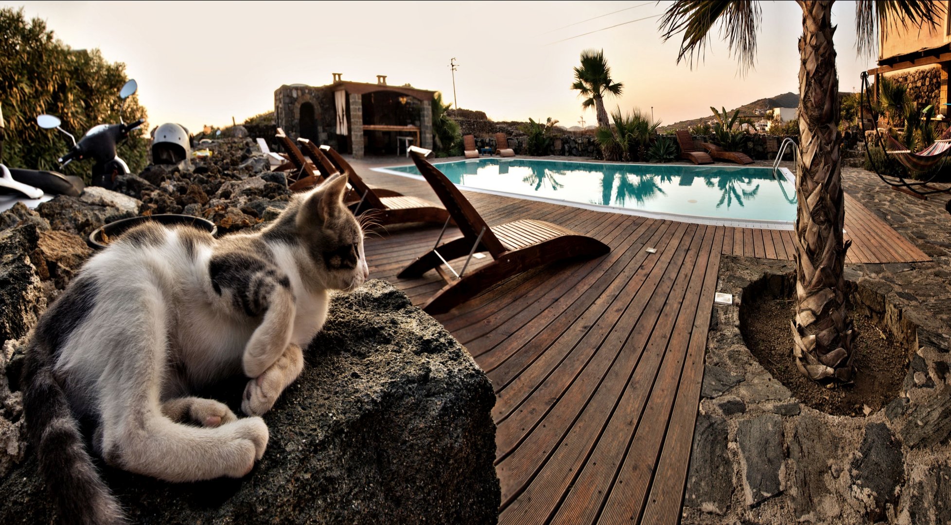 Foto 5 Dammusi La Kuddia Isola di Pantelleria, 04