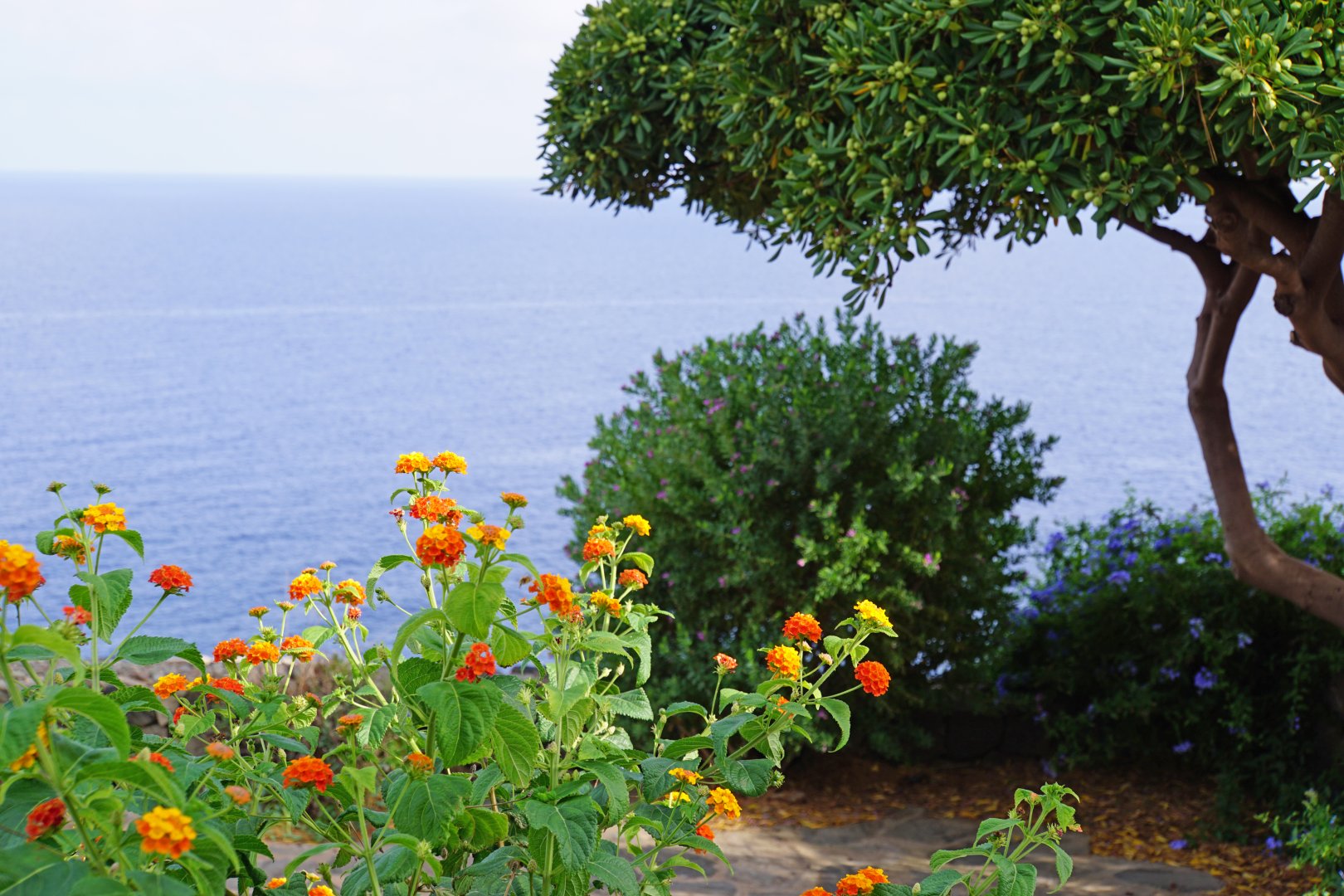 Foto 4 I Dammusi di Maema Isola di Pantelleria, 03
