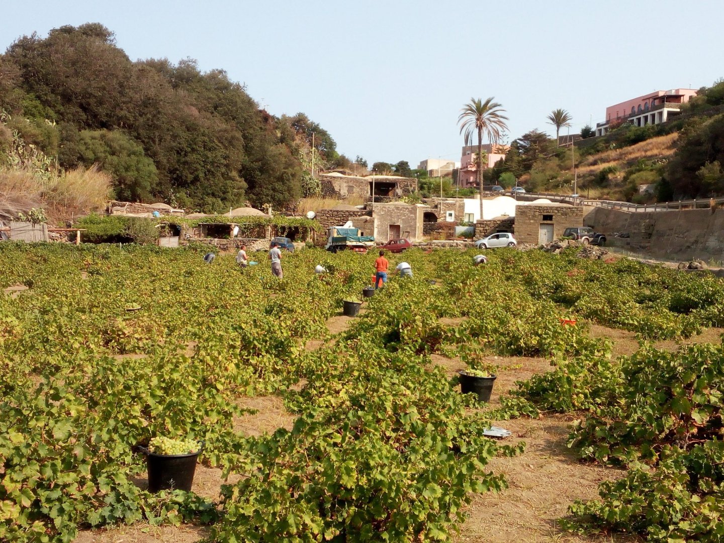 Foto 18 Il Mulino di Scauri Isola di Pantelleria, 17