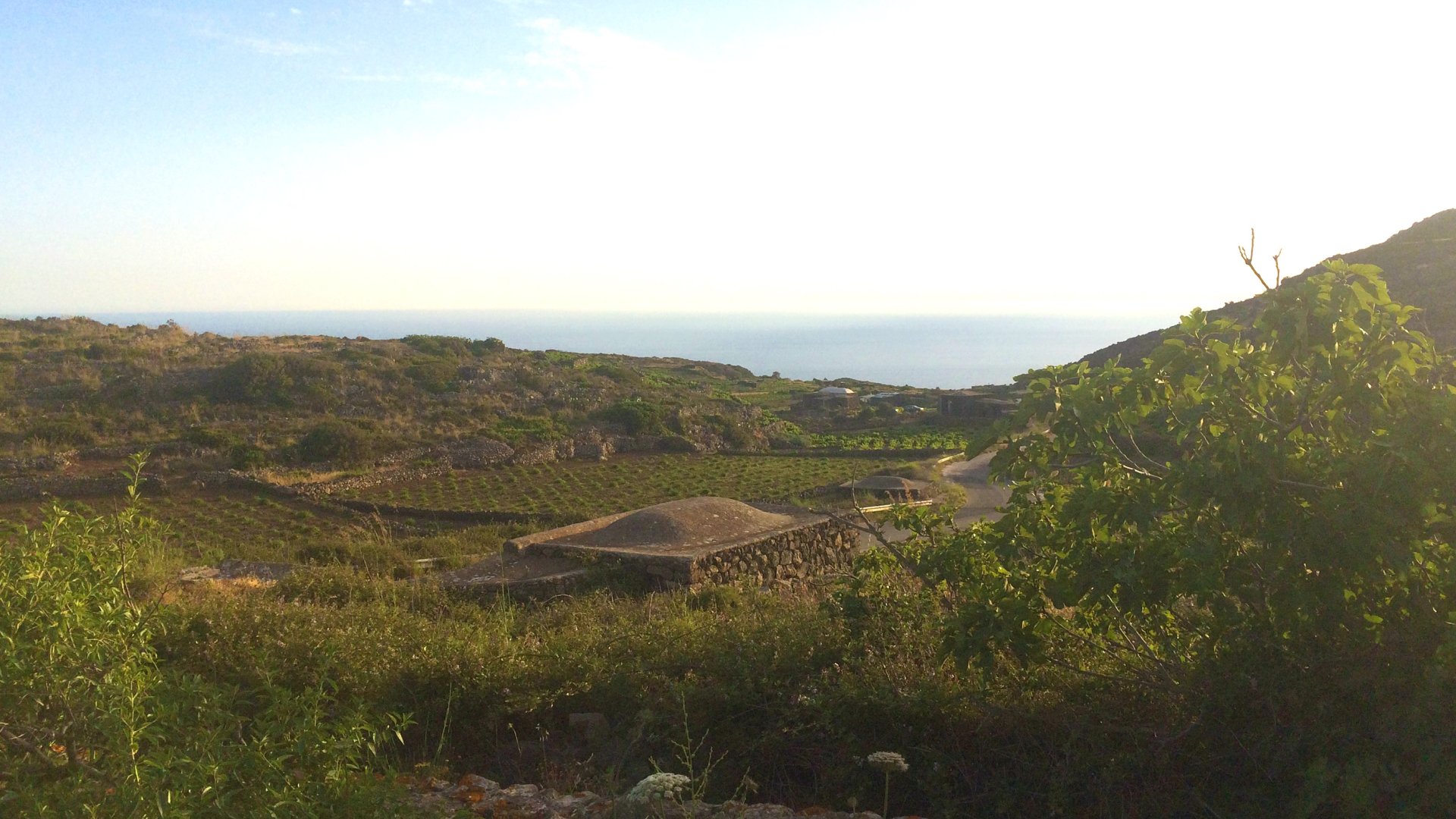 Foto 8 I Dammusi di Rekhale Isola di Pantelleria, 07