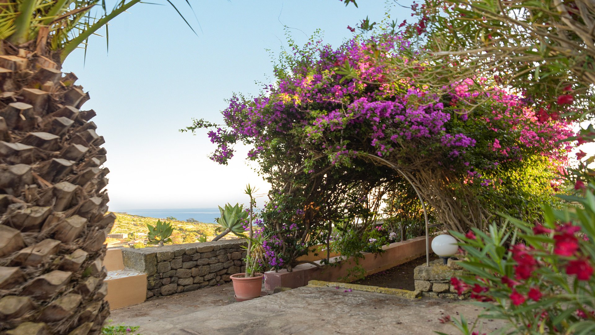 Foto 15 I Dammusi di Rekhale Isola di Pantelleria, 14