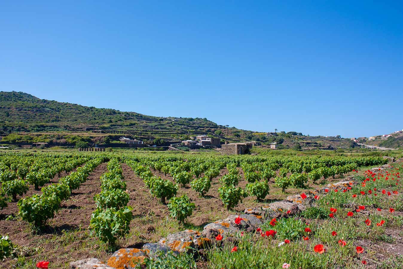 Isola di Pantelleria, 10
