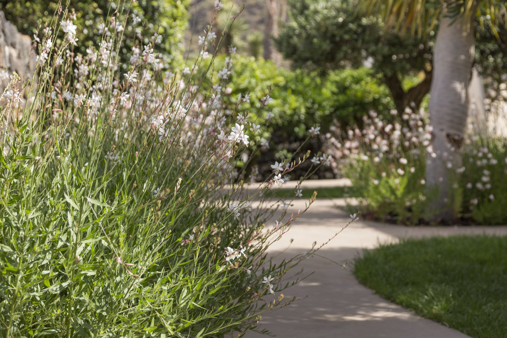 Isola di Pantelleria, 02