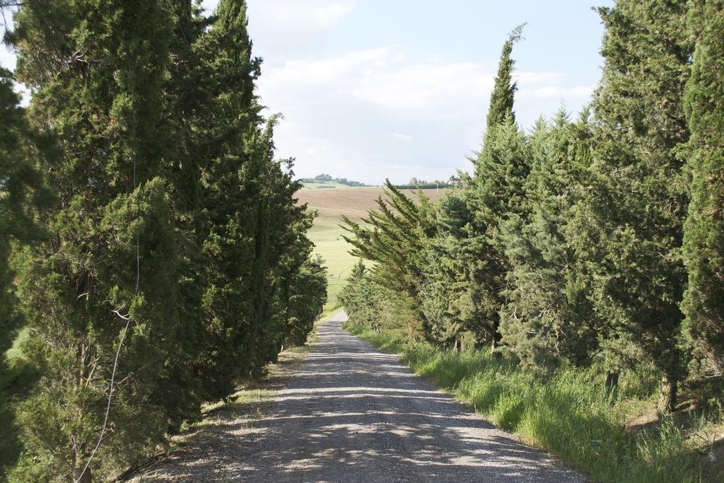 Foto 2 Residence Giuly Rosselmini Pisa e Dintorni, 01