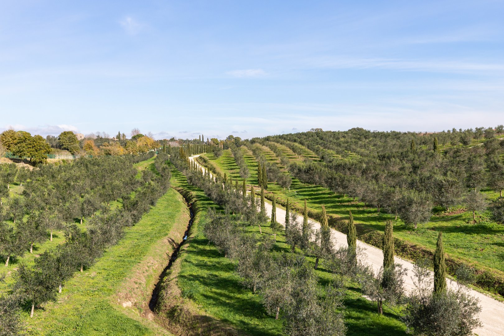Foto 3 Il Podere di Marfisa Farnese, 02