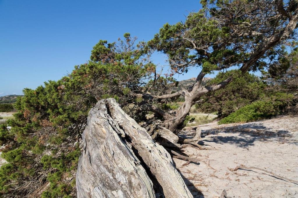 Foto 6 Hotel Donatella Posada, 05