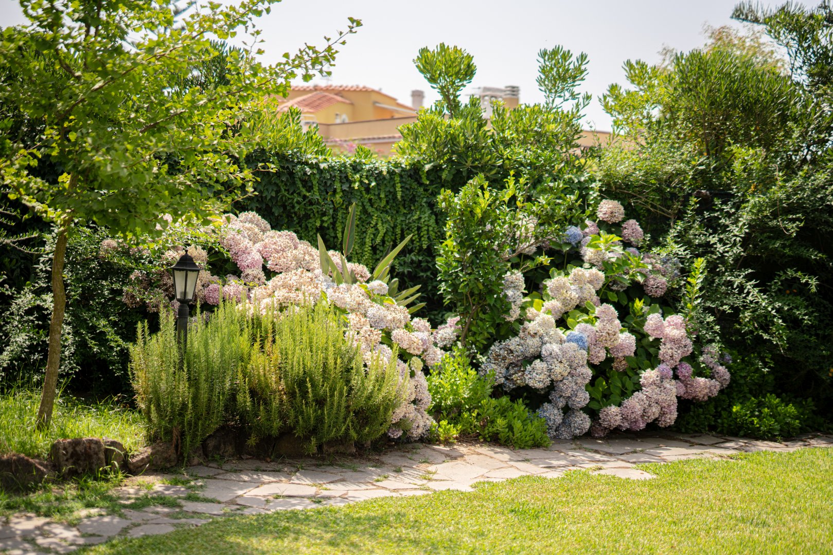 Foto 4 Hotel Solcalante Procida, 03