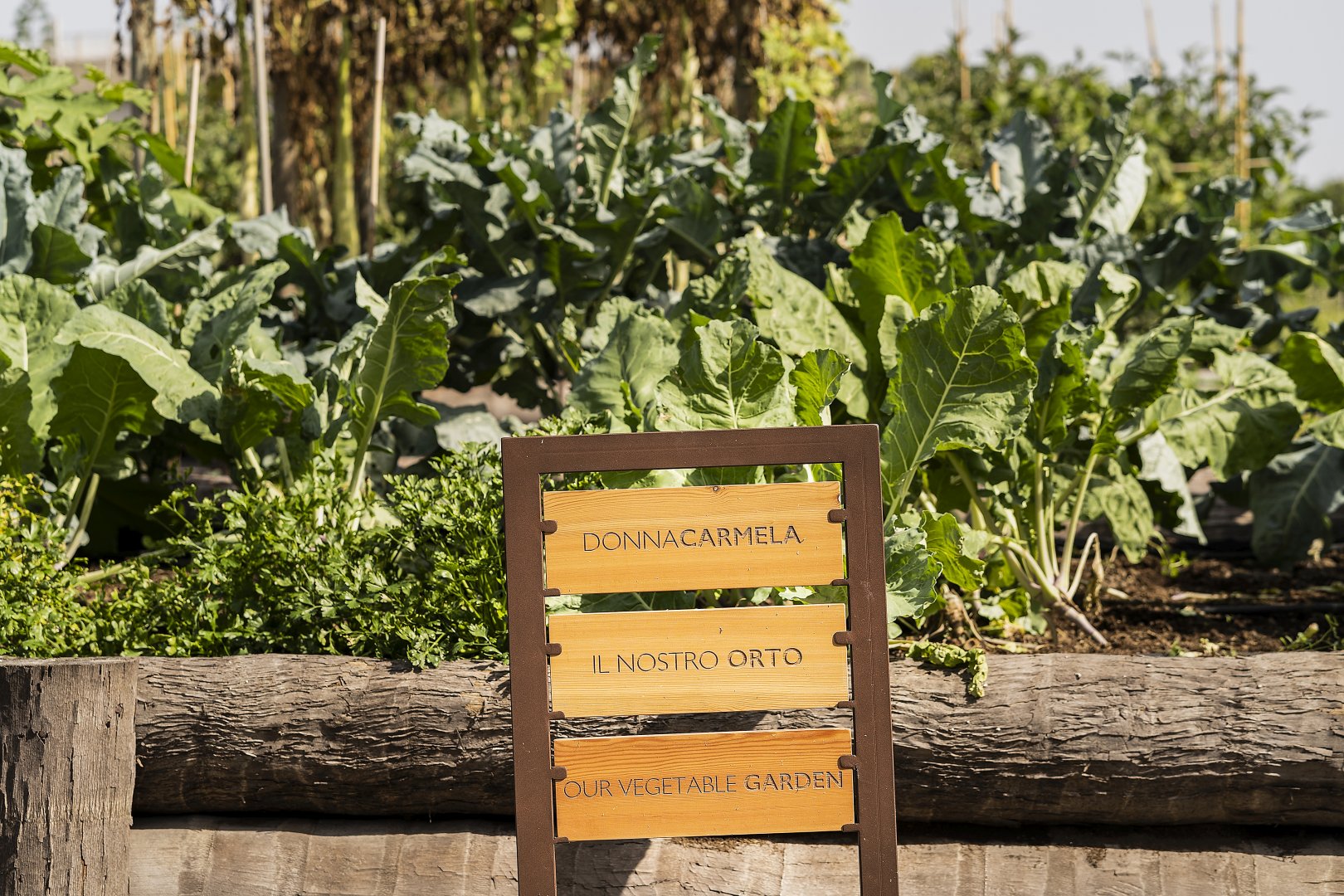 Foto 15 Donna Carmela Resort & Lodges Riposto, 14