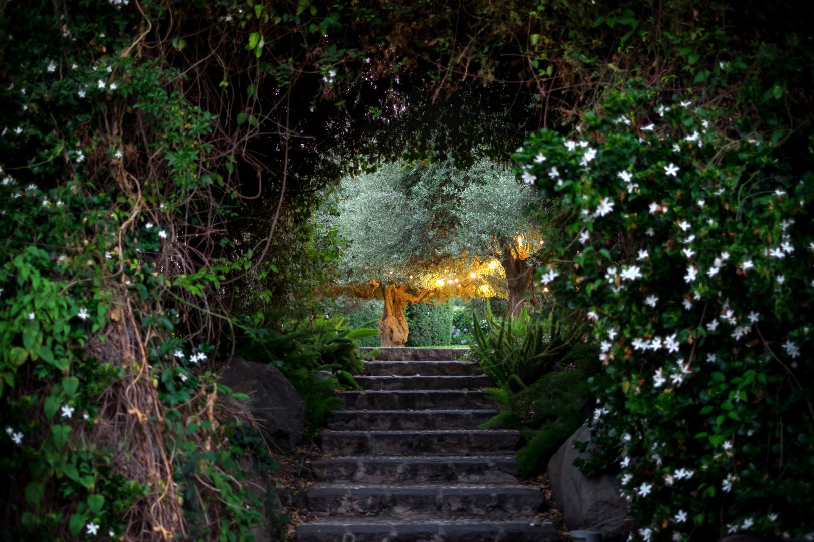 Foto 21 Donna Carmela Resort & Lodges Riposto, 20