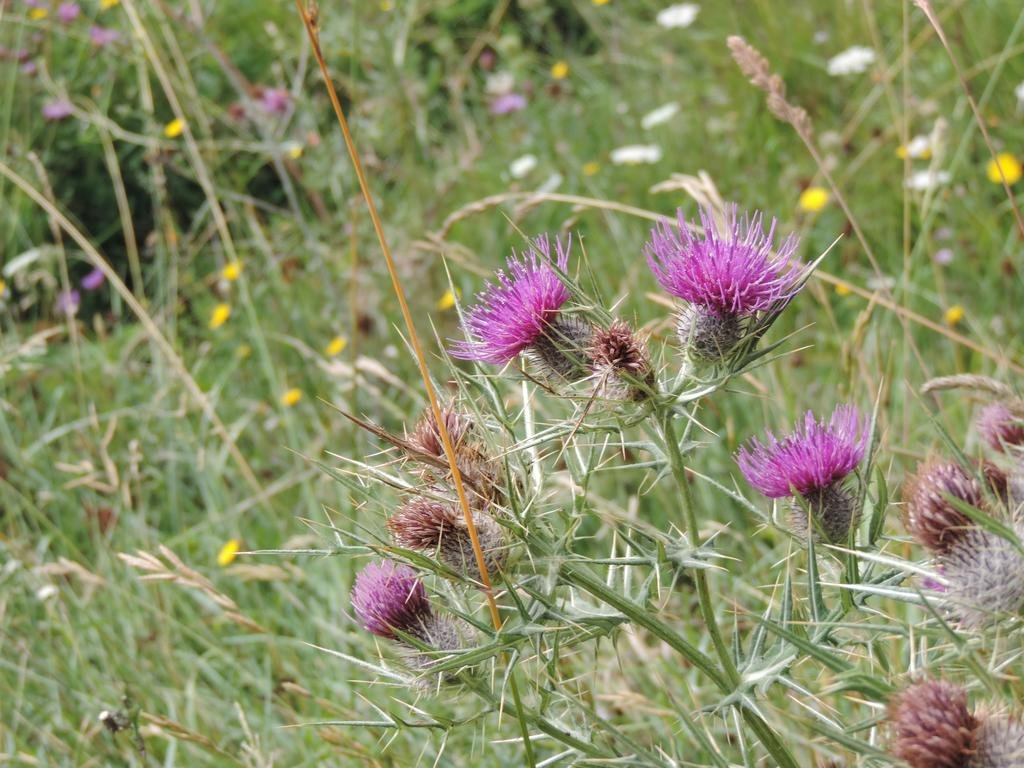 Foto 7 Albergo del Sole Roccaraso, 06