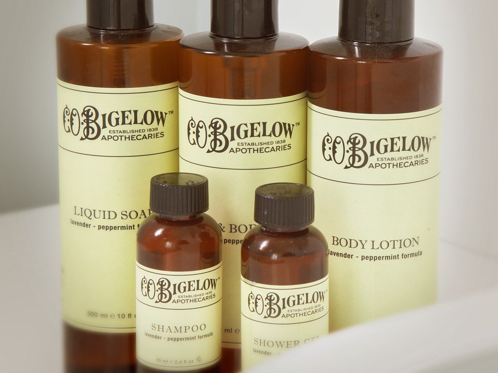 Foto 18 Palazzo Scanderbeg Roma - Fontana di Trevi, 17