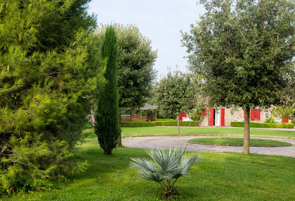 Castiglioncello - Rosignano Marittimo, 05