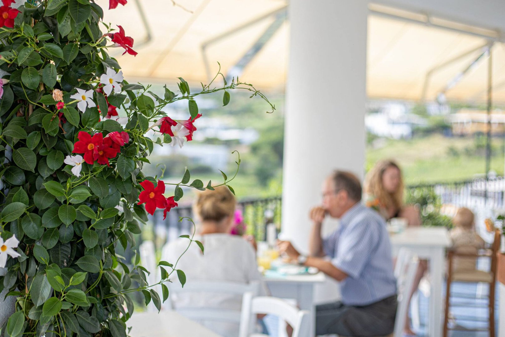 Foto 6 Hotel Punta Scario Isola di Salina, 05