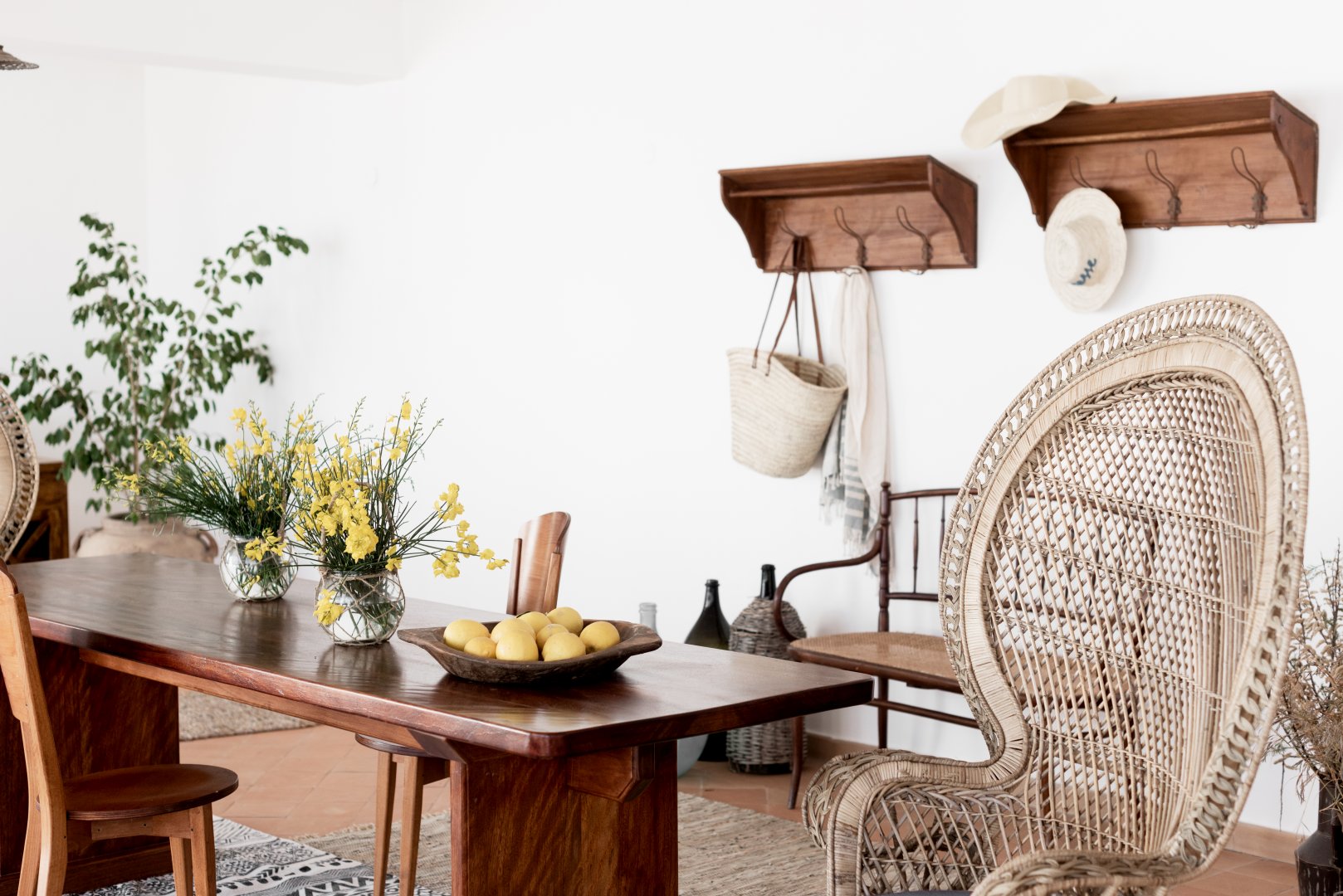 Foto 7 Principe di Salina Boutique Hotel Isola di Salina, 06