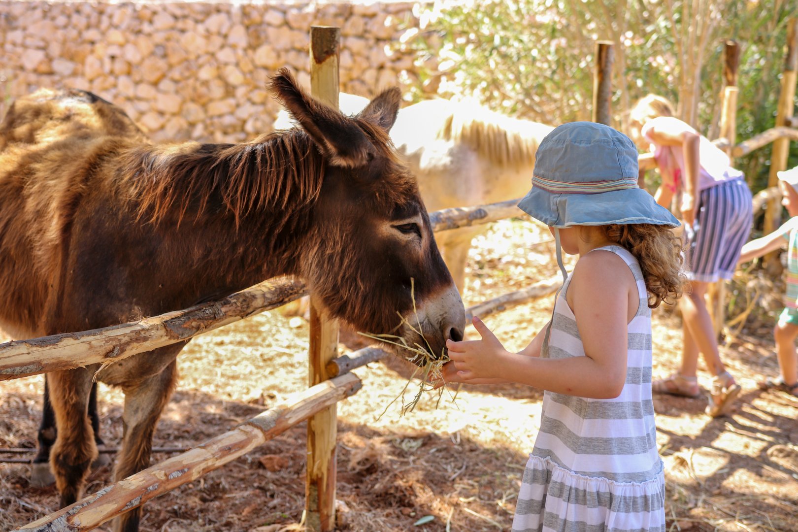 San Vito lo Capo, 11