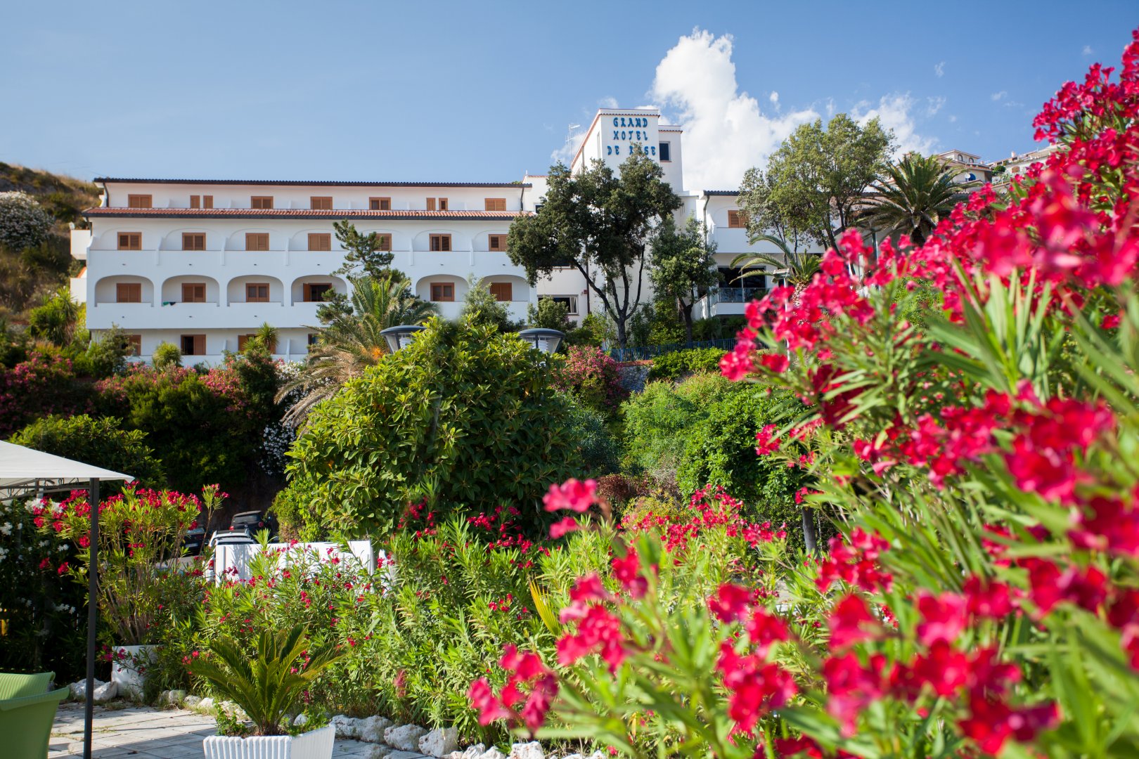 Foto 7 Grand Hotel De Rose Scalea, 06