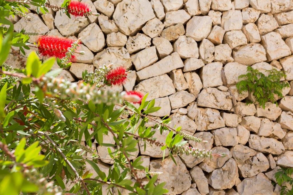 Foto 9 Villa Raffaella Santa Cesarea Terme, 08