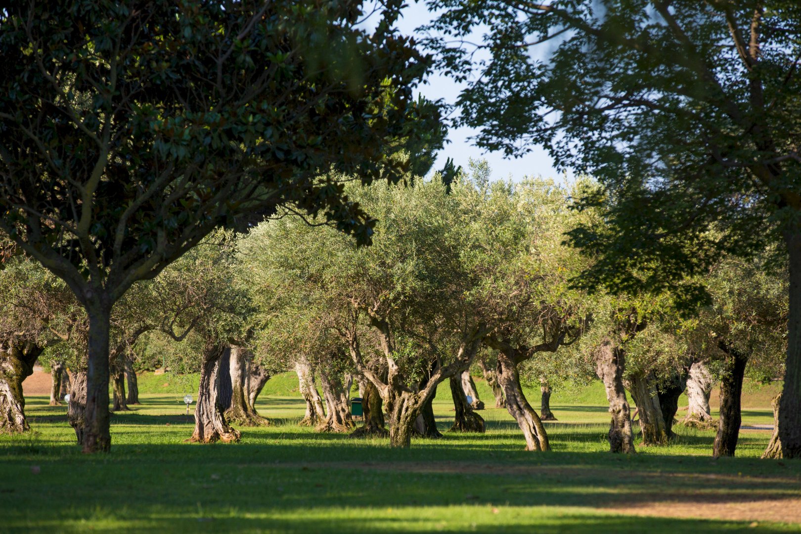 Foto 3 MClub Lipari Sciacca, 02