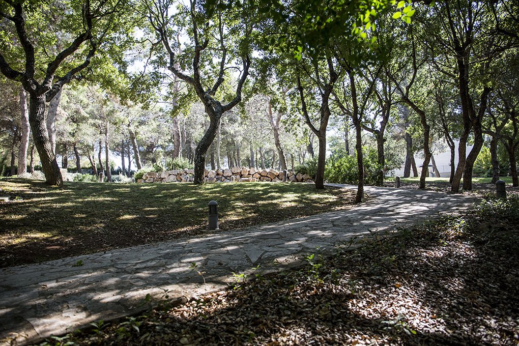 Foto 20 Tenuta Monacelle Fasano, 19