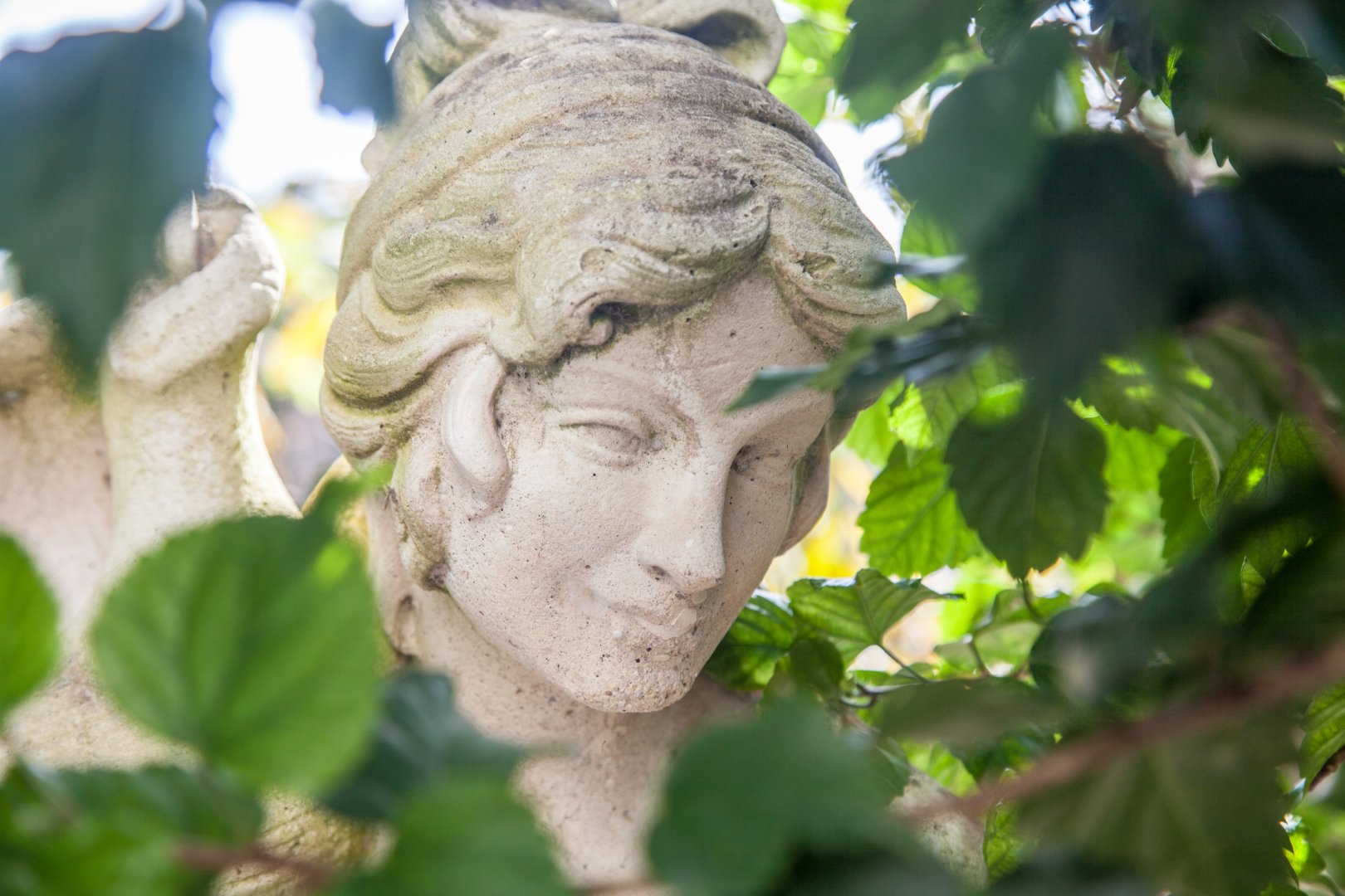 Foto 13 Hotel Casa Giuseppina Sant'Angelo - Serrara Fontana, 12