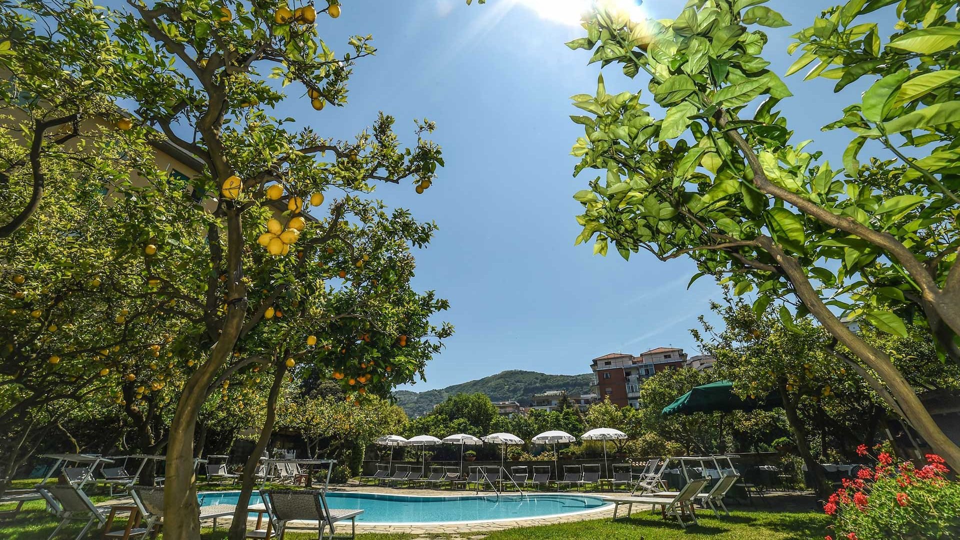 Foto 16 Hotel Antiche Mura Sorrento, 15