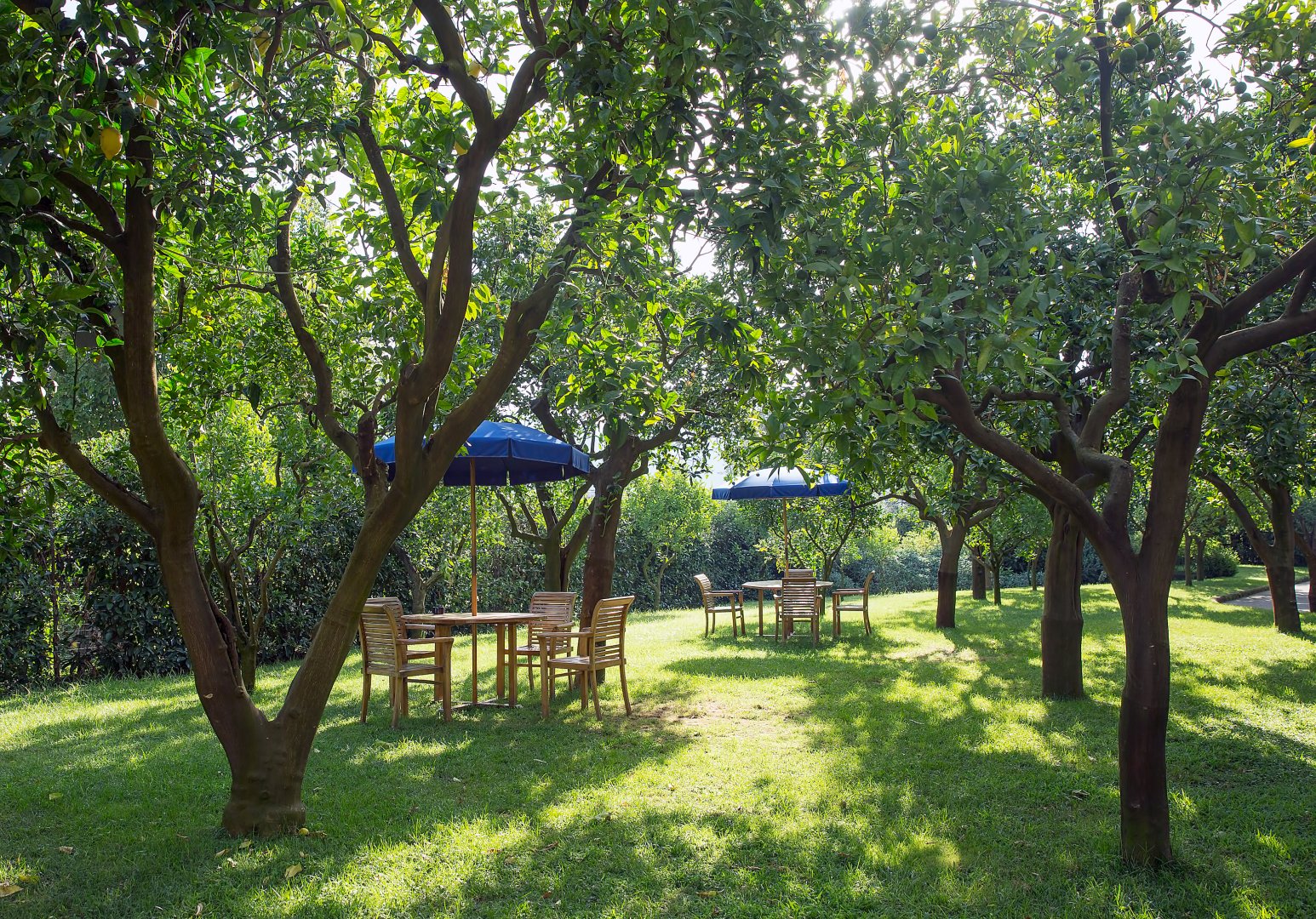 Foto 18 Hilton Sorrento Palace Sorrento, 17