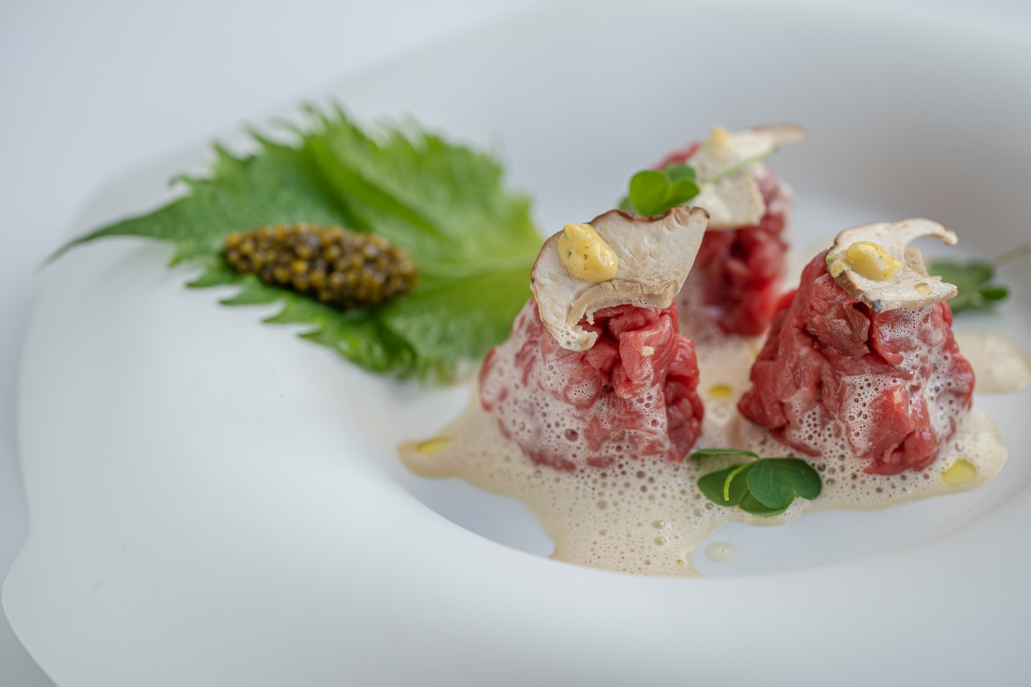 Foto 29 Laqua Countryside Meta, 28