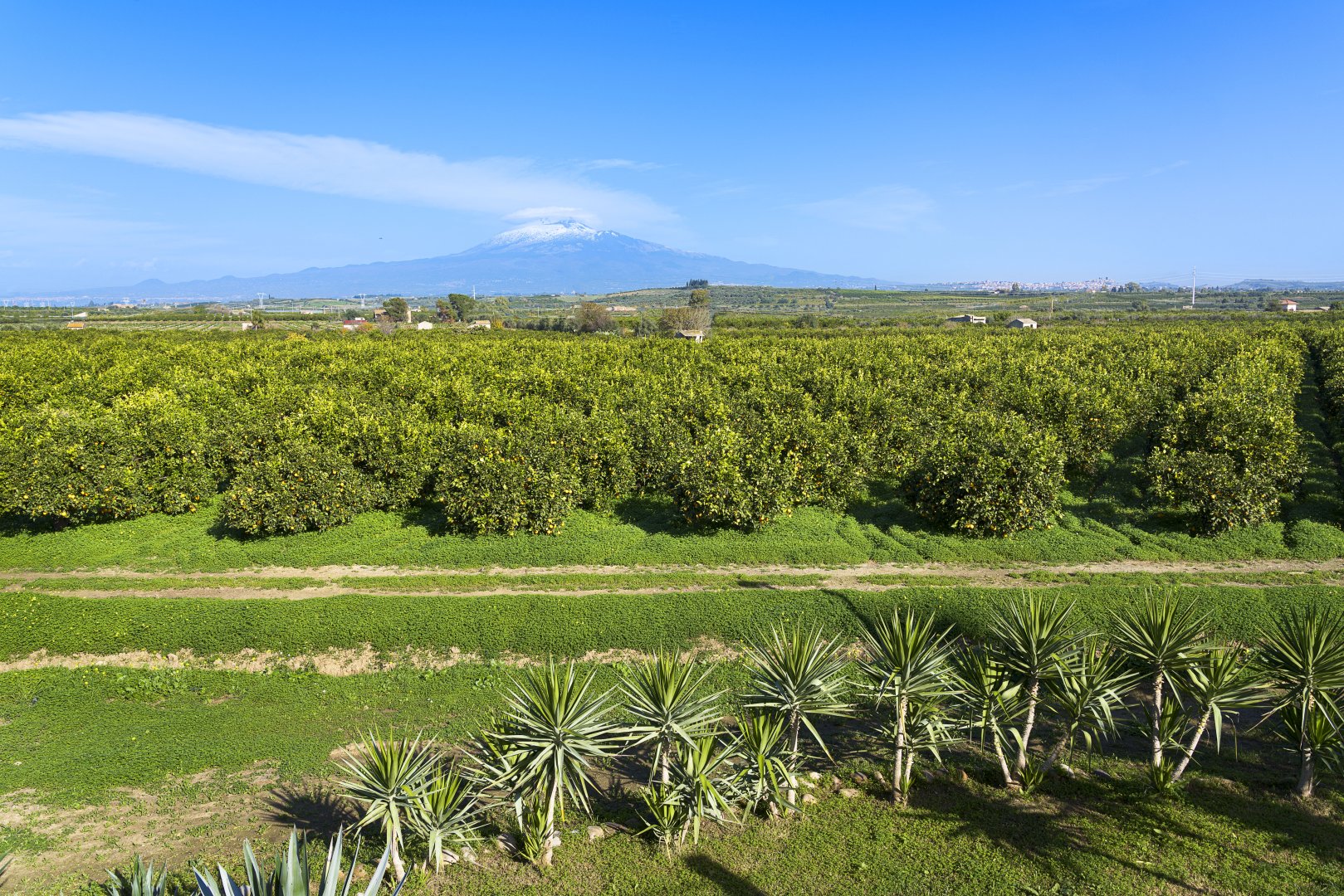 Foto 4 Nèroli Bio Relais Belpasso, 03