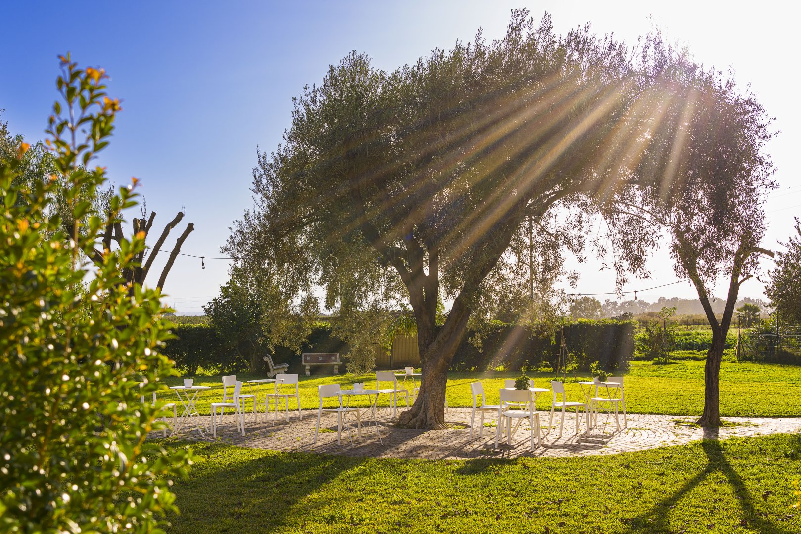 Foto 12 Nèroli Bio Relais Belpasso, 11