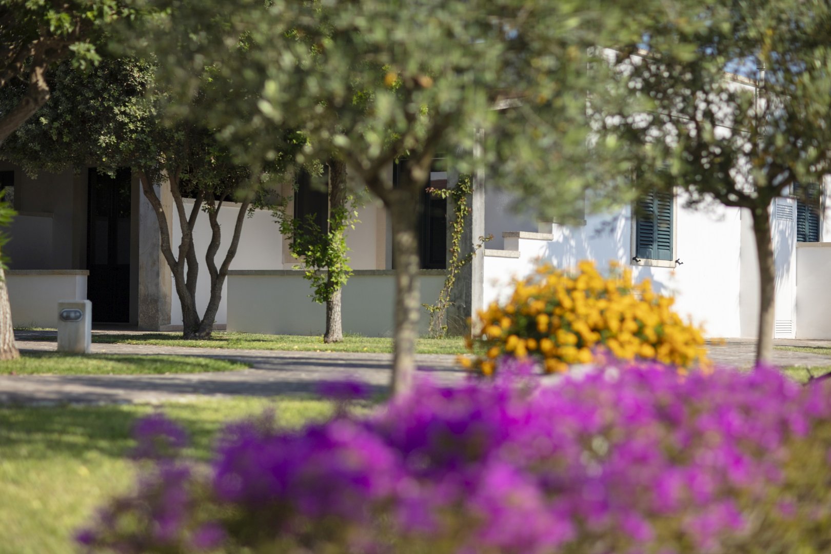 Foto 8 Borgo Mulino a Vento Resort Otranto, 07