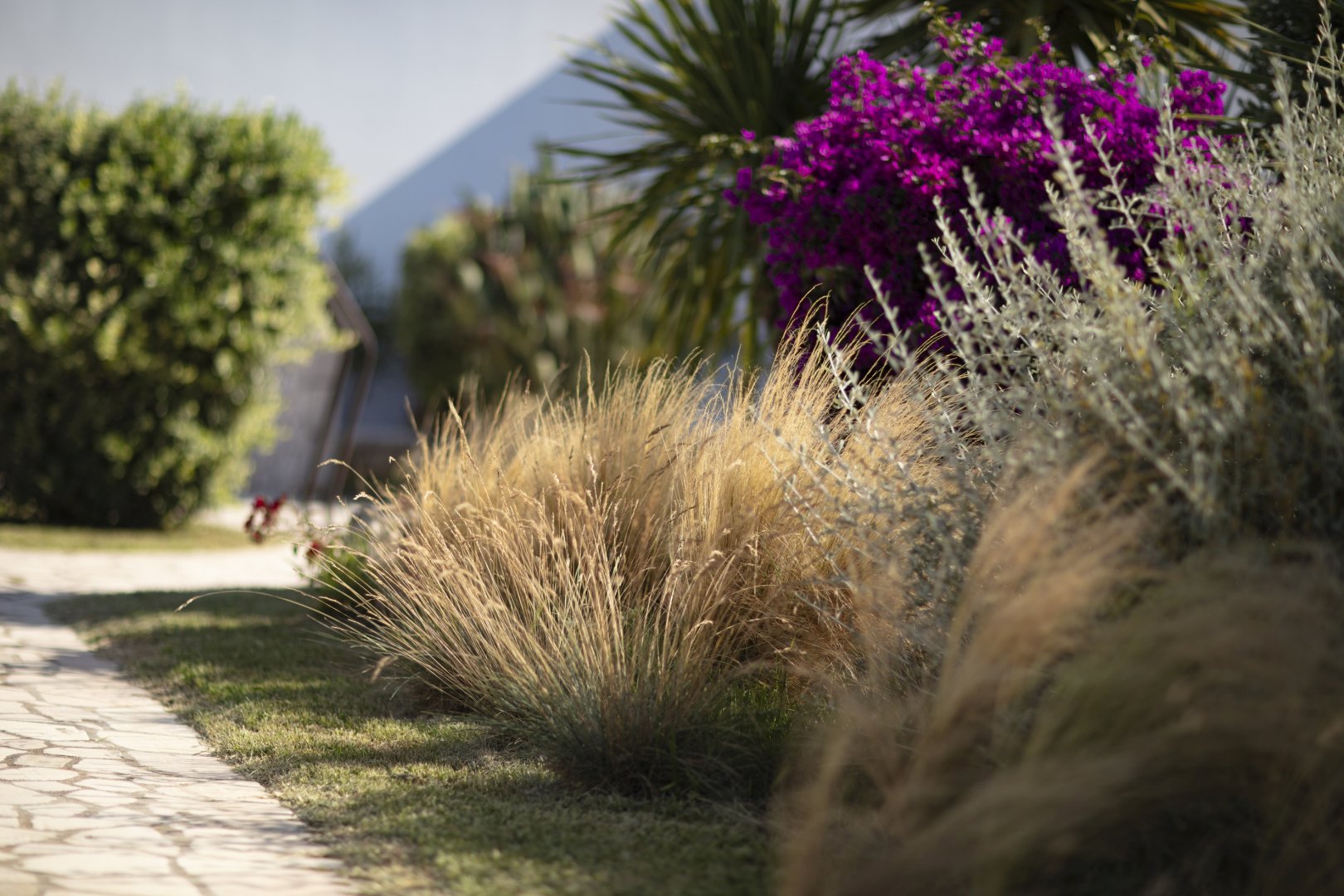 Foto 24 Borgo Mulino a Vento Resort Otranto, 23