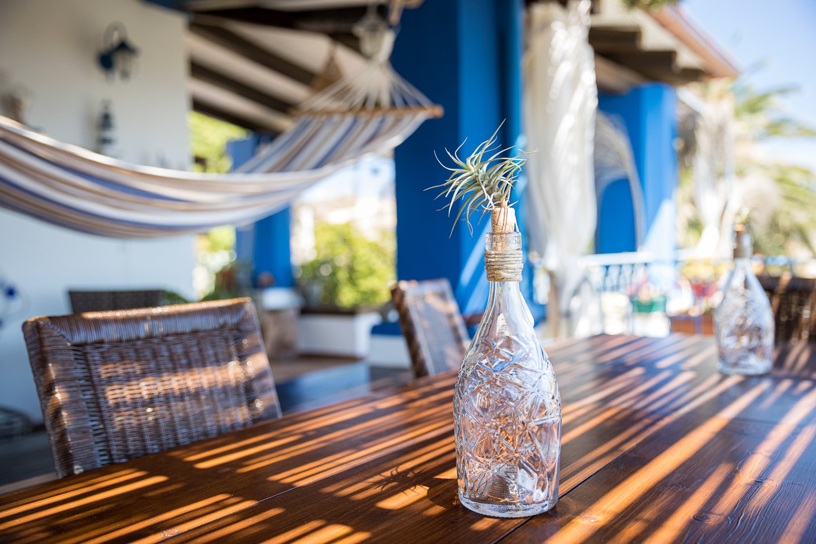 Foto 10 Case per Vacanza Clelia Isola di Ustica, 09