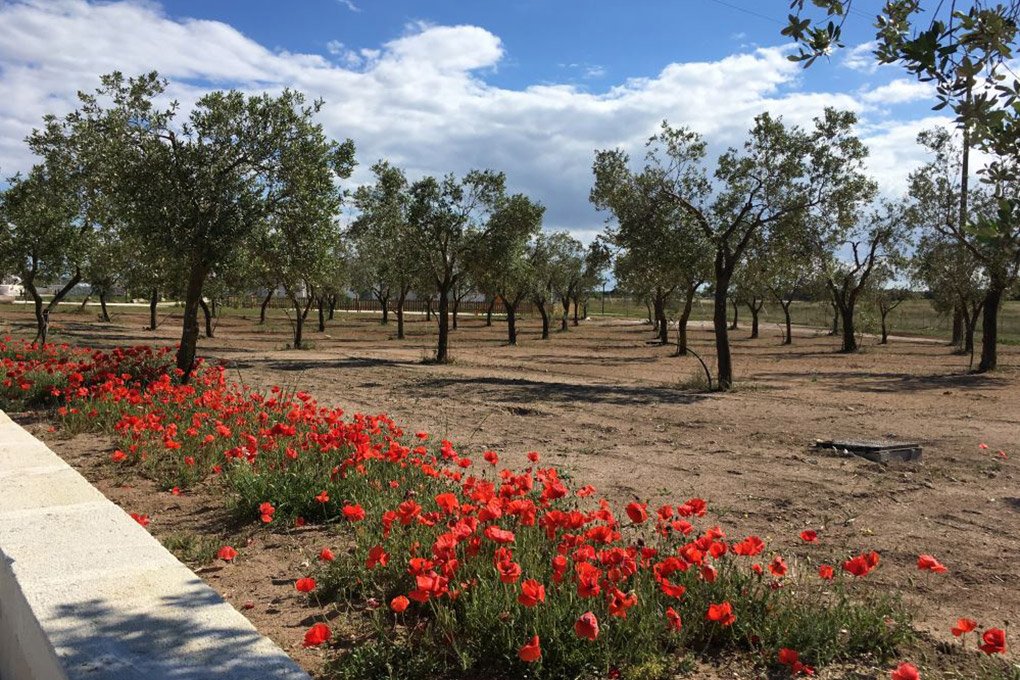 Foto 16 Relais Masseria Le Cesine Otranto, 15