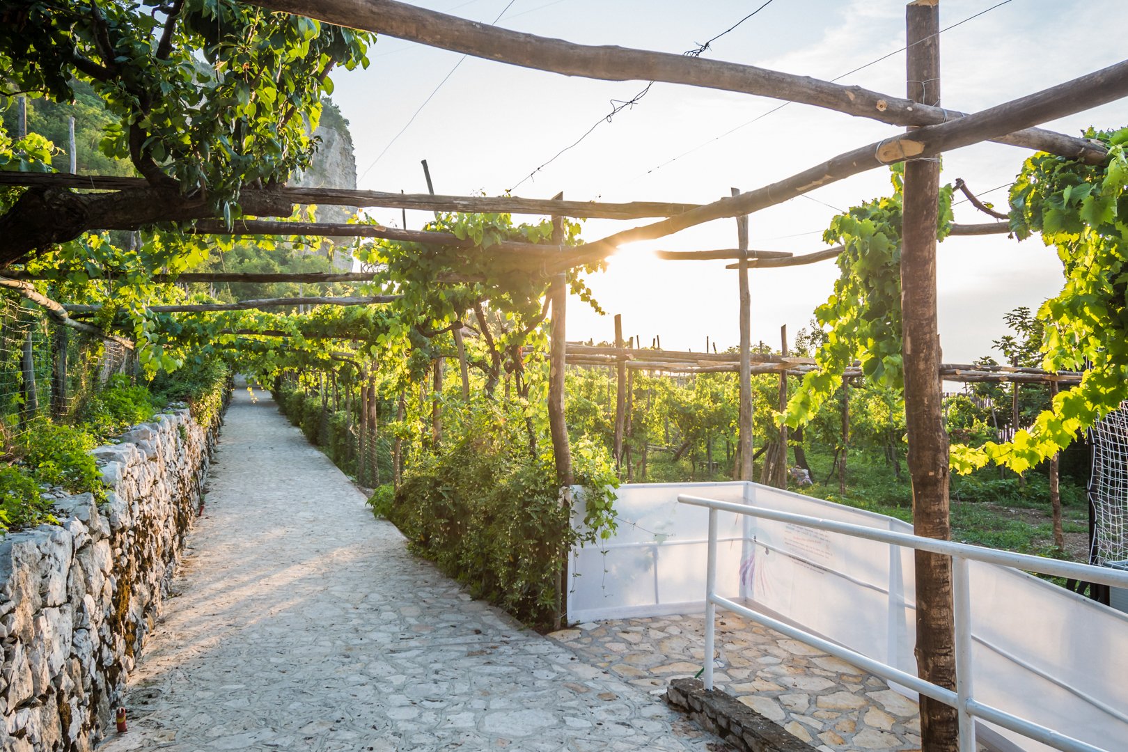 Foto 12 Hotel & Resort Le Axidie Vico Equense, 11