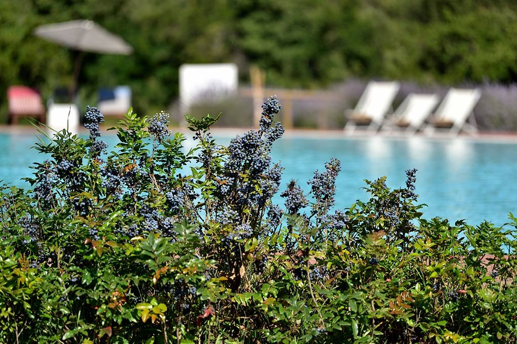 Foto 9 Hotel Orlando Resort Villagrande Strisaili, 08