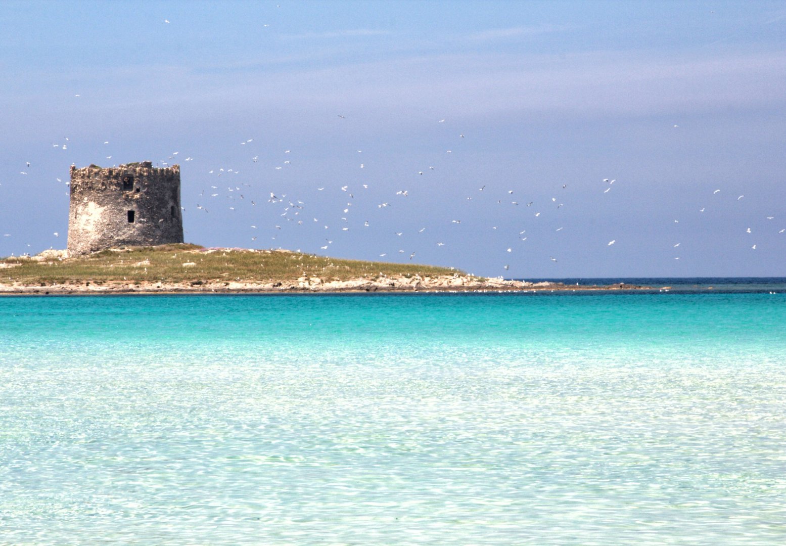 Foto 3 Scopri la Sardegna in auto: arrivo - partenza Alghero