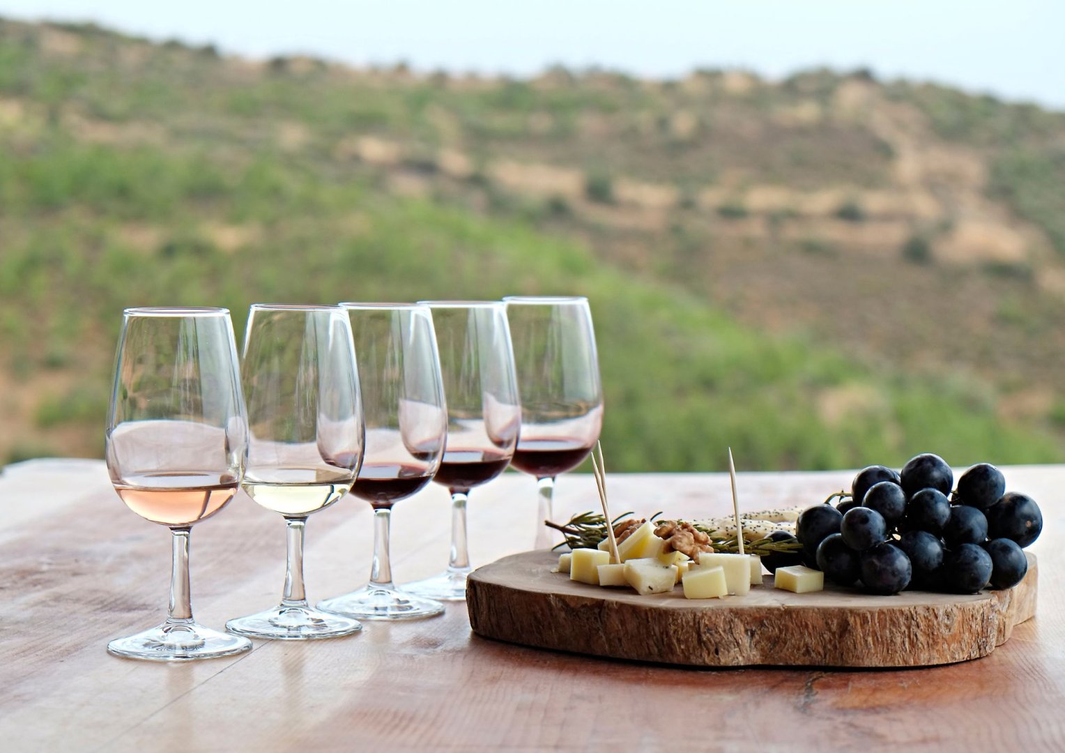 Foto 10 Un banchetto rinascimentale tra arte, cultura e sapori divini (Firenze e Chianti)